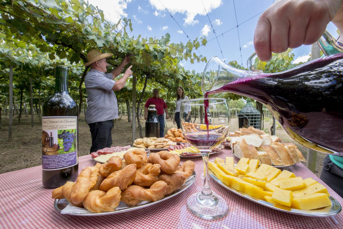 Casal admirando a vista de uma vinícola na Serra Gaúcha, simbolizando o turismo de experiência Serra Gaúcha e seu impacto positivo na valorização imobiliária da região.
